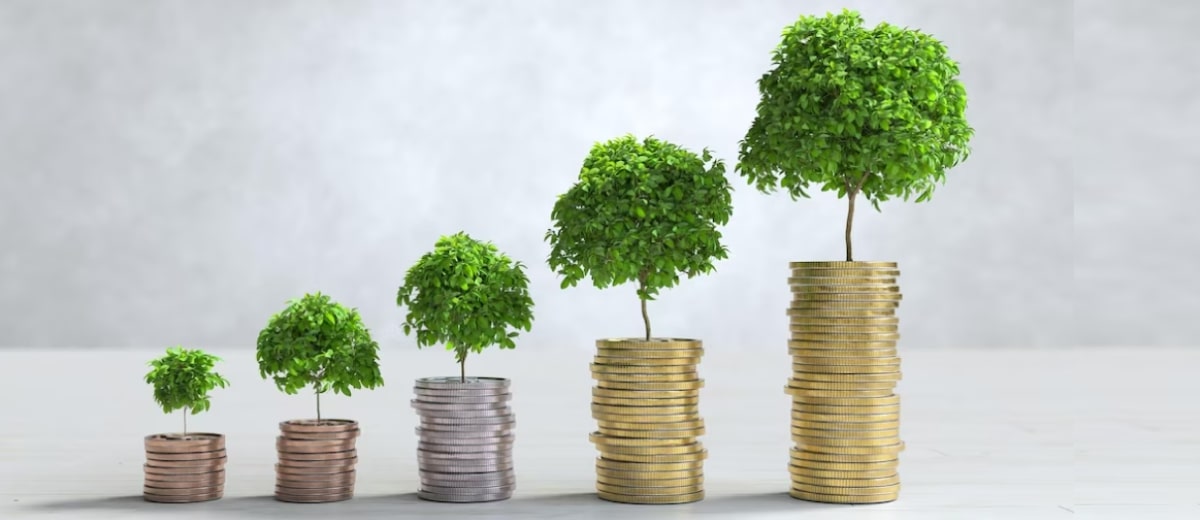 Angel investing in South Africa A catalyst for innovation growth and socio economic transformation