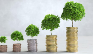 Angel investing in South Africa: A catalyst for innovation, growth, and socio-economic transformation