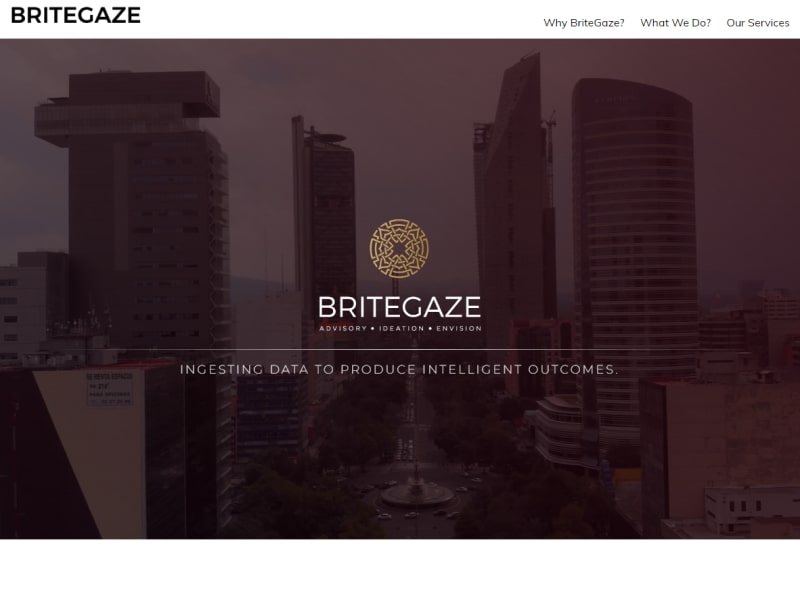 BriteGaze Venture Capital